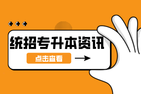 2024年遵义普通专升本政策有些什么内容？